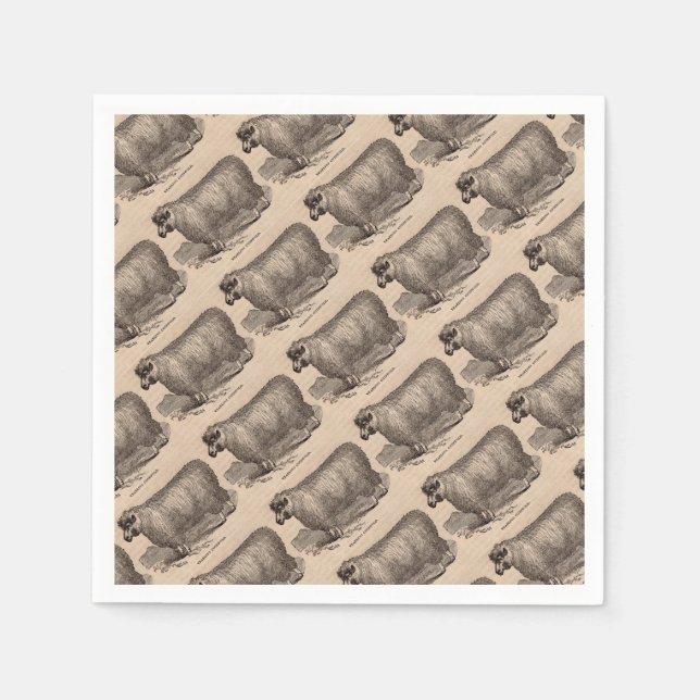 Guardanapo De Papel impressão do século XIX (Frente)