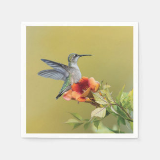 Guardanapo De Papel Impressão fotográfica de Beija-flor na Flor de Tro
