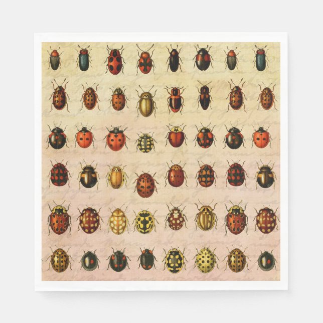 Guardanapo De Papel Inseto do Inseto Ladybug Ladybird Beetle (Frente)