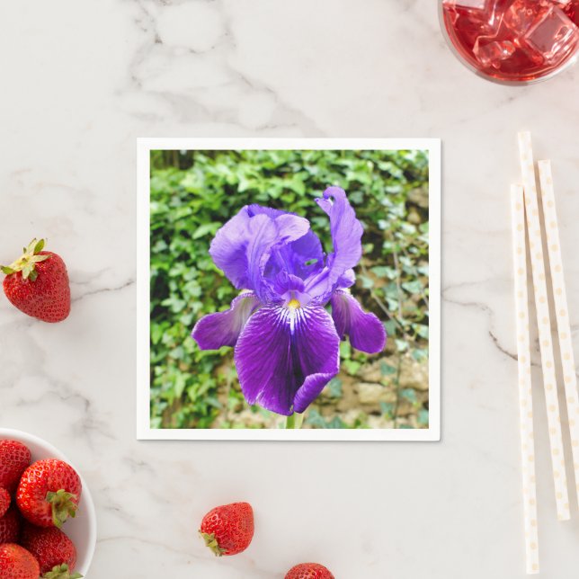 Guardanapo De Papel Iris Paper Napkins (Insitu)