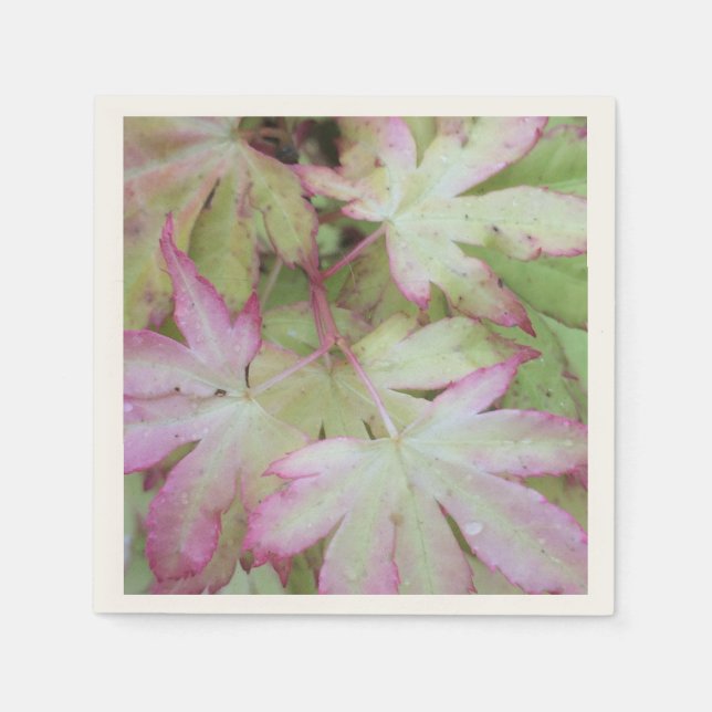 Guardanapo De Papel Ivy Impressão Napkin (Frente)