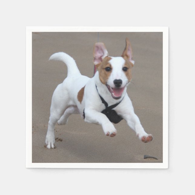 Guardanapo De Papel Jack_Russell terrier executando 2.png (Frente)
