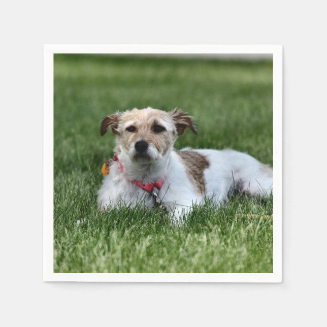 Guardanapo De Papel Jack Square Paper Coaster (Frente)