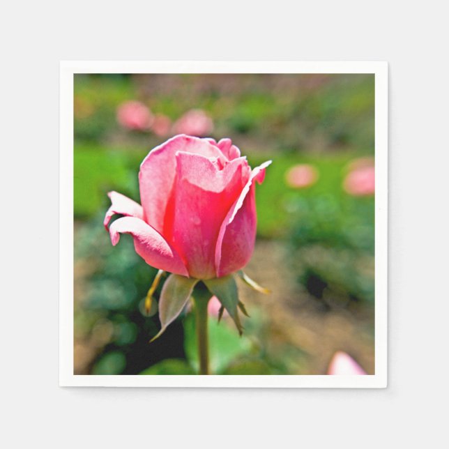 Guardanapo De Papel Jardim de Rosas Rosa (Frente)