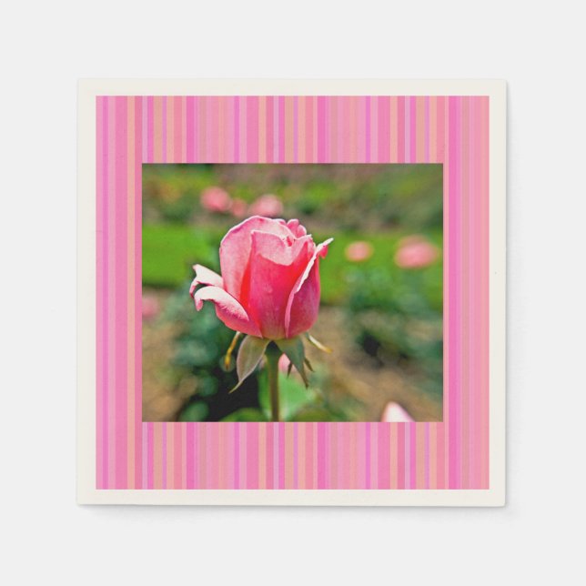 Guardanapo De Papel Jardim de Rosas Rosa com Listras (Frente)