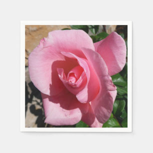 Guardanapo De Papel Jardim Florido Rosa Rosa Ensolarado