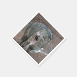 Guardanapo De Papel Javalina com sua boca aberta