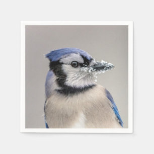 Guardanapo De Papel Jay azul com neve no seu bico