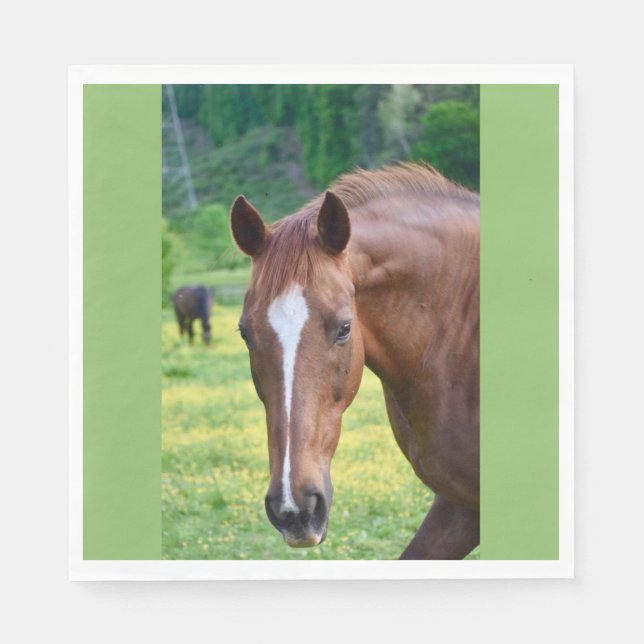 Guardanapo De Papel jogo de cavalo (Frente)