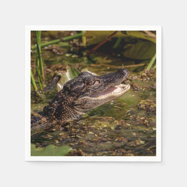 Guardanapo De Papel Jovem Alligator (Frente)