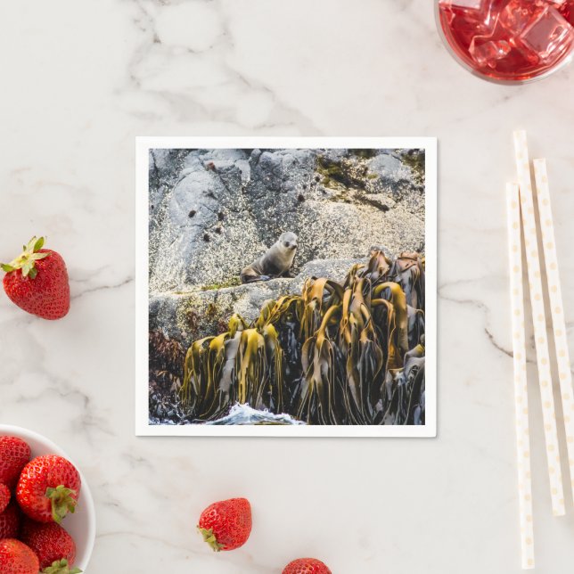 Guardanapo De Papel Jovem Selo De Peles Na Rocha (Insitu)