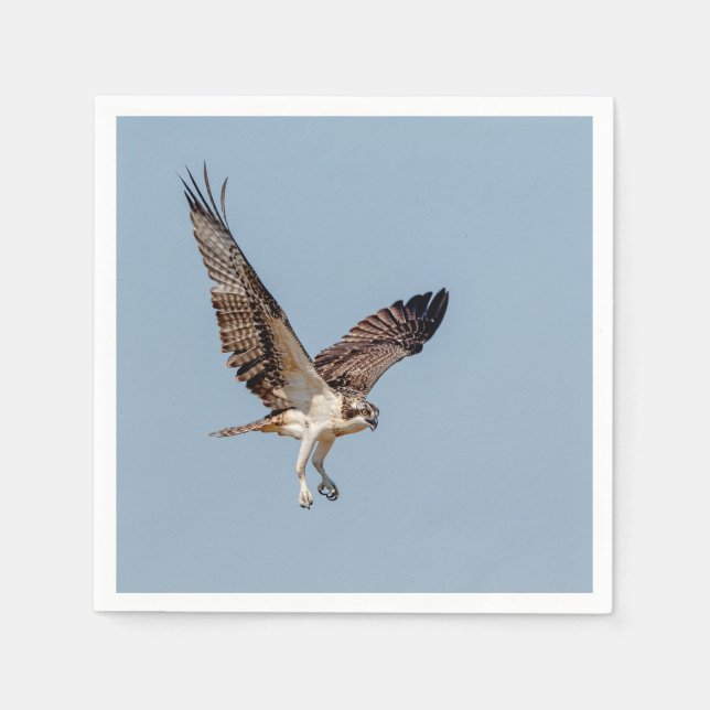 Guardanapo De Papel Juvenil Osprey em voo (Frente)