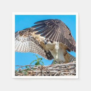 Guardanapo De Papel Juvenil Osprey no ninho