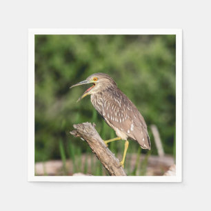 Guardanapo De Papel Juvenile Black Crowned Night Heron