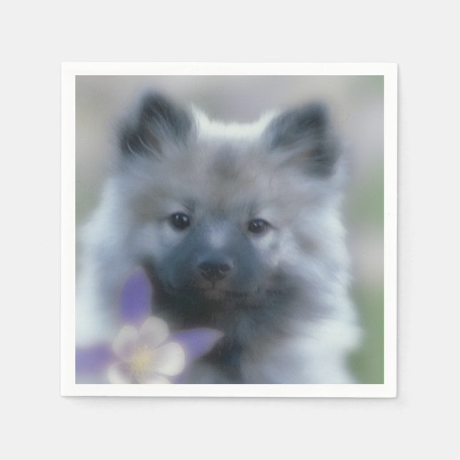 Guardanapo De Papel Keeshond e Columbine - Fotografia de Cães (Frente)