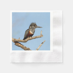 Guardanapo De Papel Kingfisher gigante