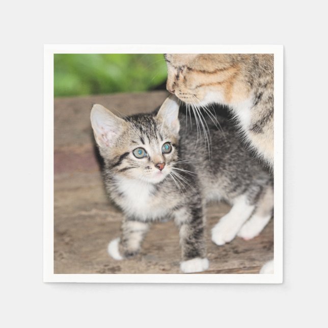 Guardanapo De Papel Kitten (Frente)