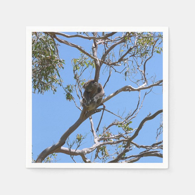 Guardanapo De Papel Koala Nap (Frente)