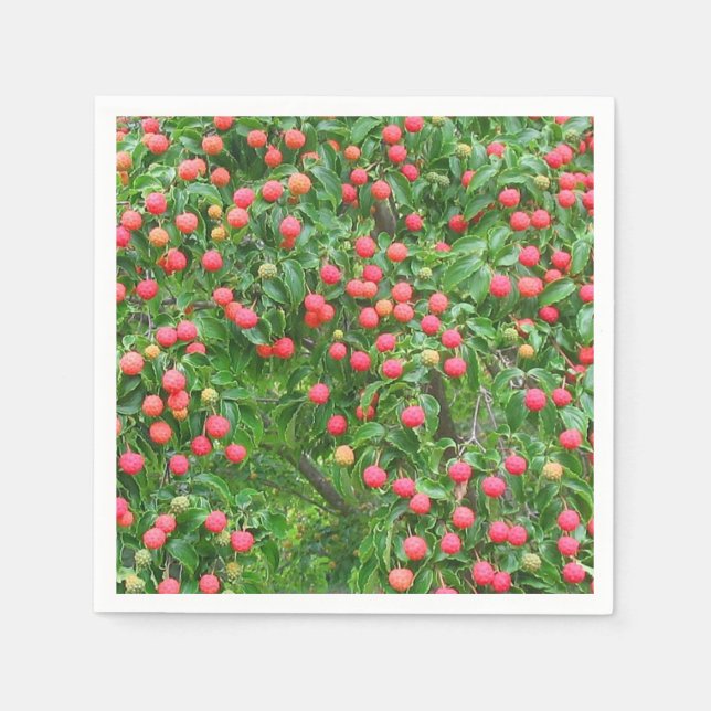 Guardanapo De Papel Kousa Dogwood Berries (Frente)