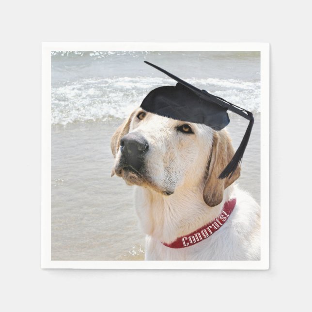 Guardanapo De Papel Labrador Retriever Graduate With Cap (Frente)