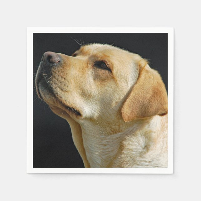 Guardanapo De Papel Labrador Retriever Paper Napkins (Frente)