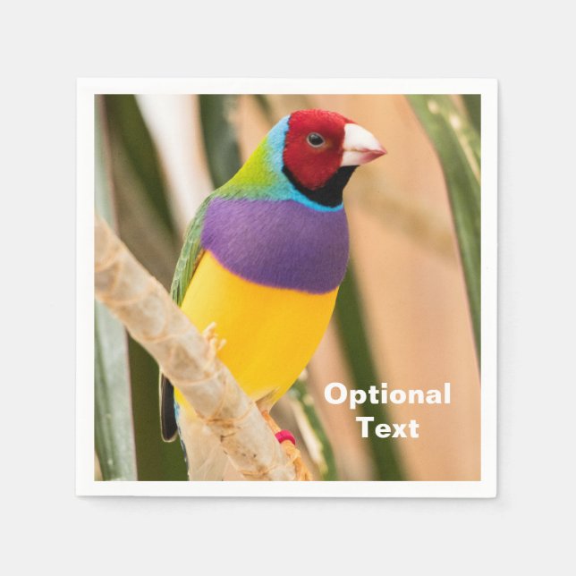 Guardanapo De Papel Lady Gouldian Finch (Frente)