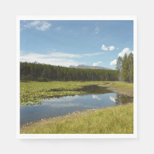 Guardanapo De Papel Lago dos Cisnes I no Parque Nacional Grand Teton