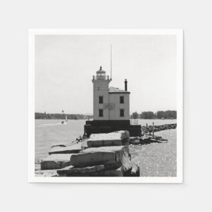 Guardanapo De Papel Lago Erie Lighthouse
