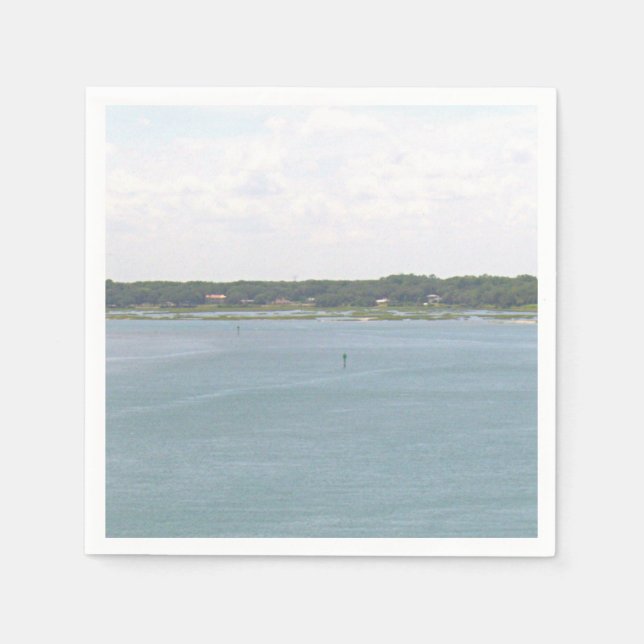 Guardanapo De Papel Lago Florida (Frente)
