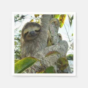 Guardanapo De Papel Lama