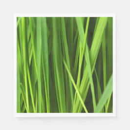 Guardanapo De Papel Lâminas de gramíneas