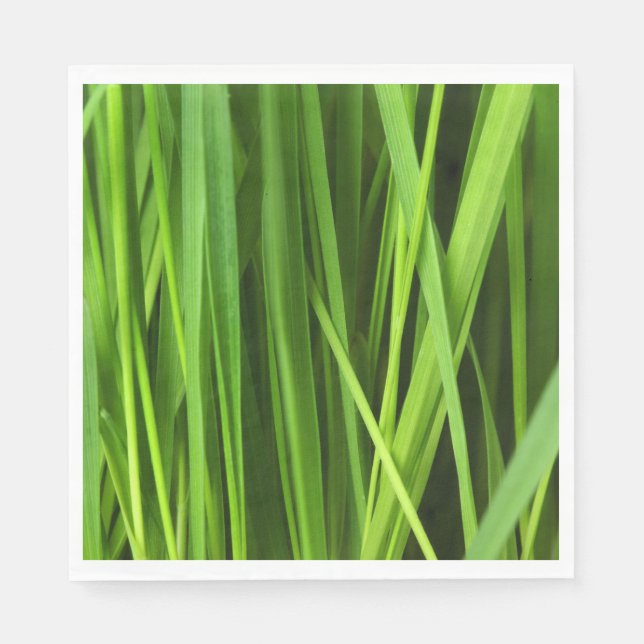 Guardanapo De Papel Lâminas de gramíneas (Frente)