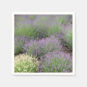 Guardanapo De Papel Lavanda adorável