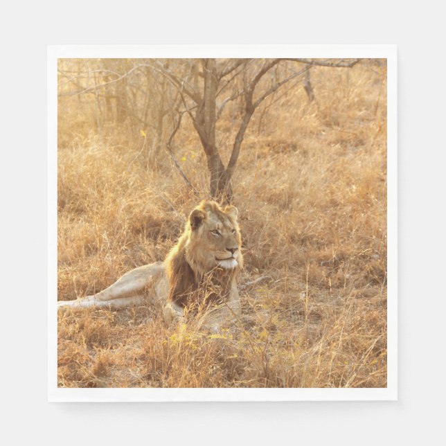 Guardanapo De Papel Leão (Frente)