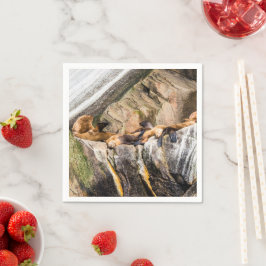 Guardanapo De Papel Leões Do Mar Deitados Nas Rochas