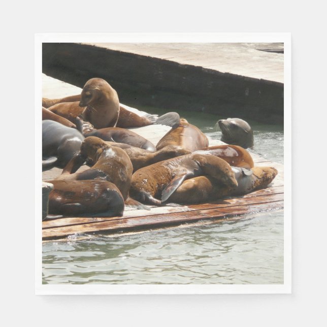 Guardanapo De Papel Leões Marinhos Tomando Sol em São Francisco (Frente)