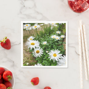 Guardanapo De Papel Leucanthemum Blooms Paper Napkins