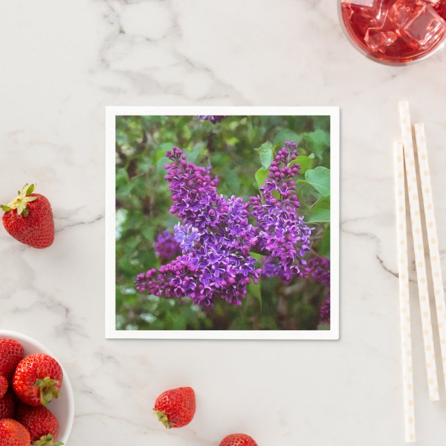 Guardanapo De Papel Lilases Roxos num Primavera Dia (Insitu)