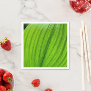 Guardanapo De Papel Lily of the Valley Paper Napkins