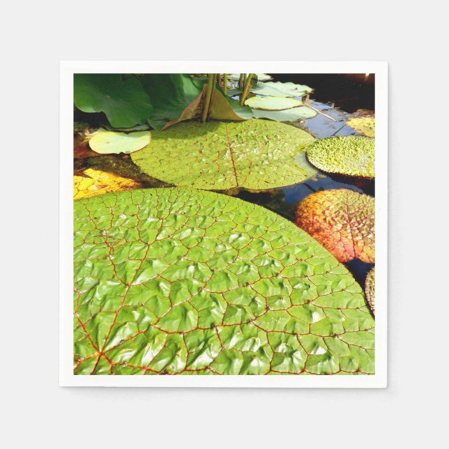 Guardanapo De Papel Lily Pads Paper Napkins (Frente)