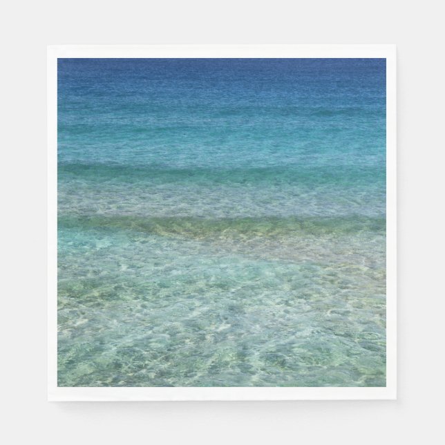 Guardanapo De Papel Linda praia Sandy (Frente)