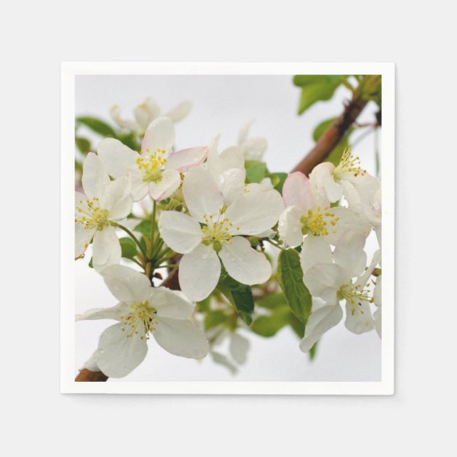 Guardanapo De Papel Lindos Blossomas Brancos (Frente)