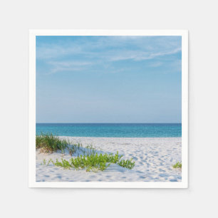 Guardanapo De Papel Linha Costeira White Sandy Beach, Flórida