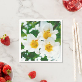 Guardanapo De Papel Lírios brancos - Lilium candidum