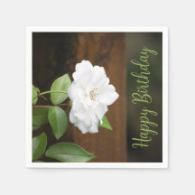 Livro Branco E Verde Castanho Estimulado