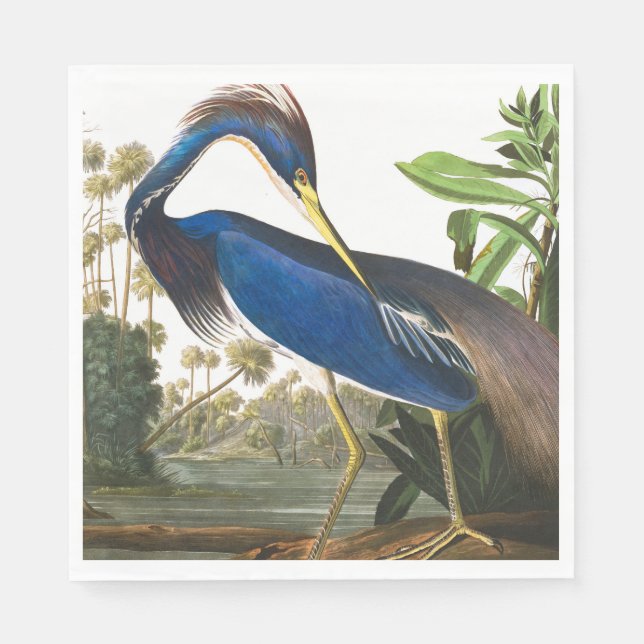 Guardanapo De Papel Louisiana Heron por John James Audubon (Frente)