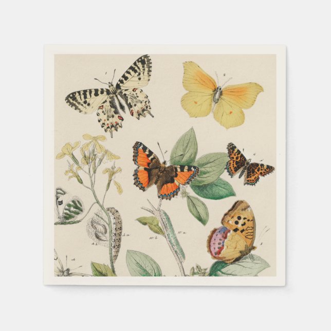 Guardanapo De Papel Lovely vintage illustration of butterflies (Frente)
