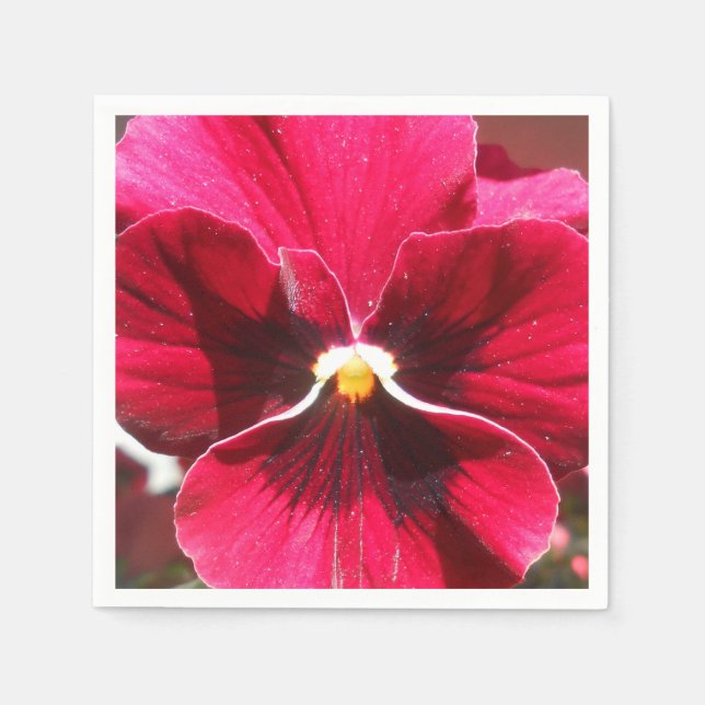 Guardanapo De Papel Lucrezia (Frente)