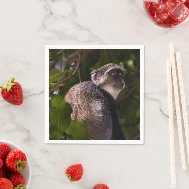 Guardanapo De Papel Macaco azul, Zanzibar (Insitu)