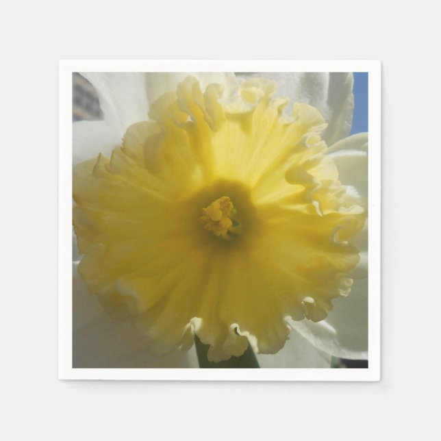 Guardanapo De Papel Maenad (Frente)